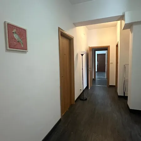 Heart Катания